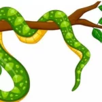 Rắn Bò Vào Bếp