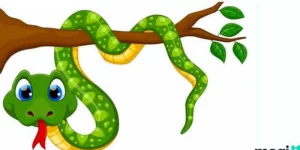 Rắn Bò Vào Bếp