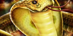 Rắn Bò Vào Phòng Ngủ